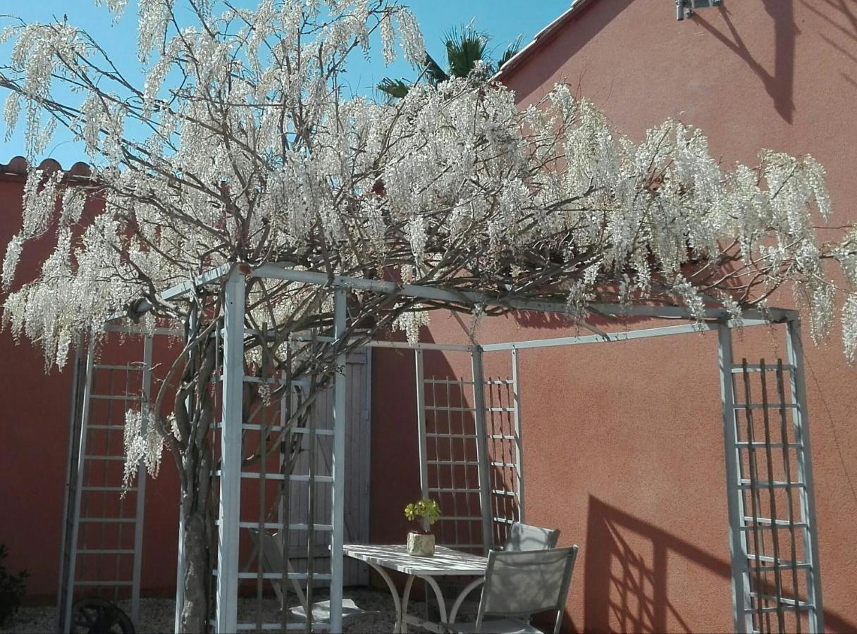 Gite Mas Uranie Le Soler Exteriér fotografie