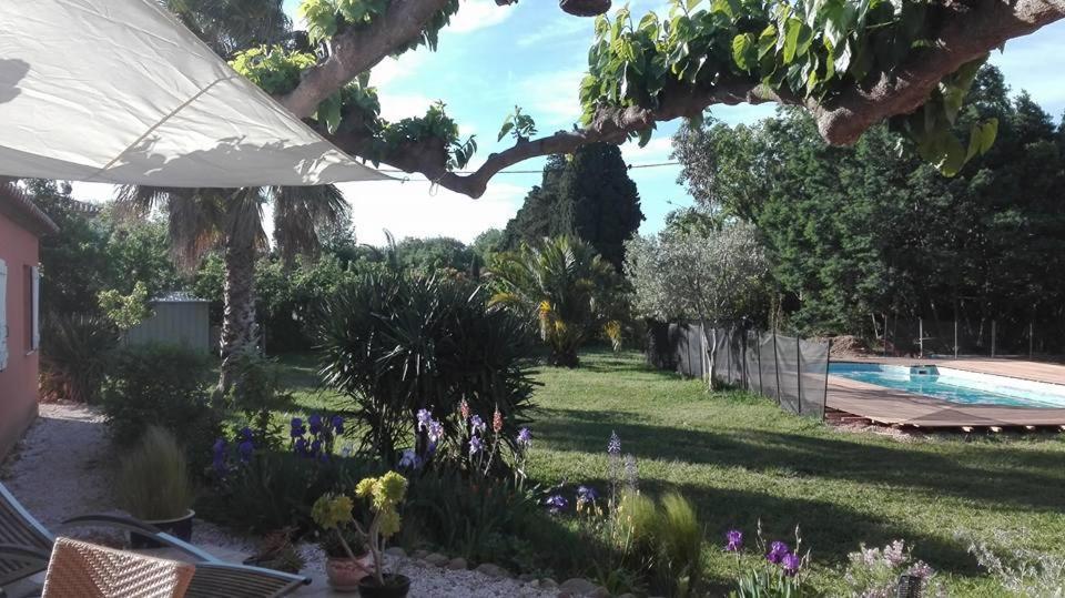 Gite Mas Uranie Le Soler Exteriér fotografie